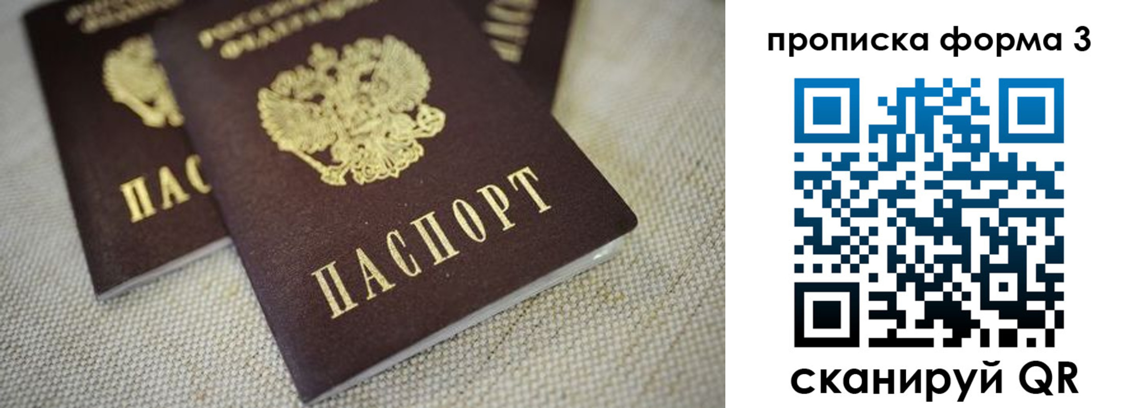 прописка поиск в Белореченске